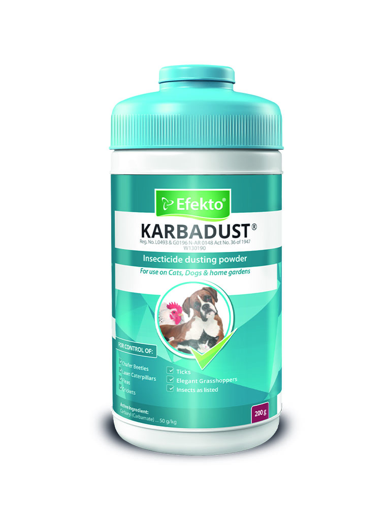 Karbadust