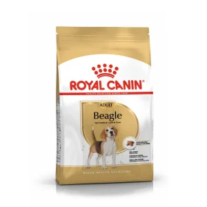Royal Canine Canine Beagle Adult