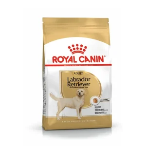 Royal Canin Canine Labrador Retriever Adult