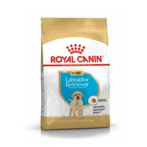 Royal Canin Canine Labrador Retriever Puppy