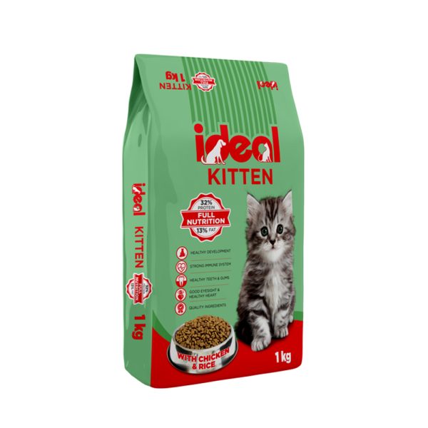 Ideal Kitten