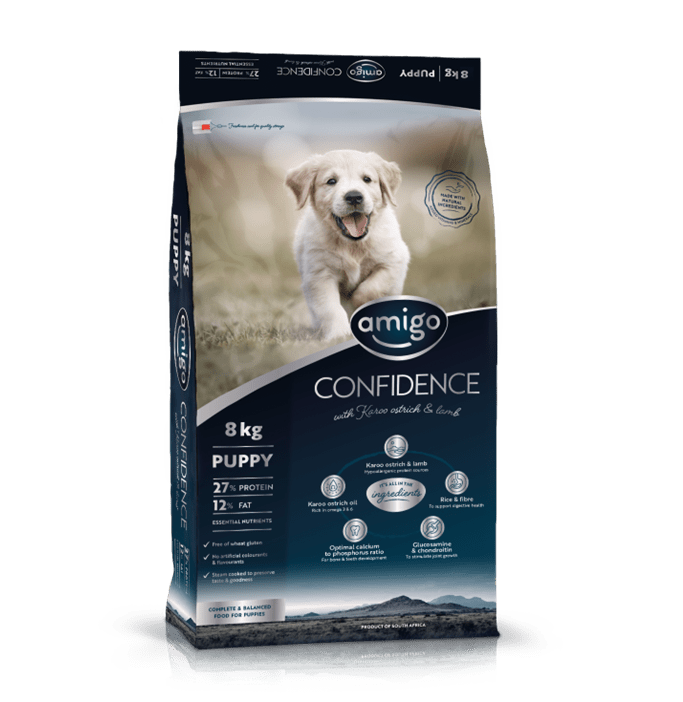 Amigo Confidence Puppy